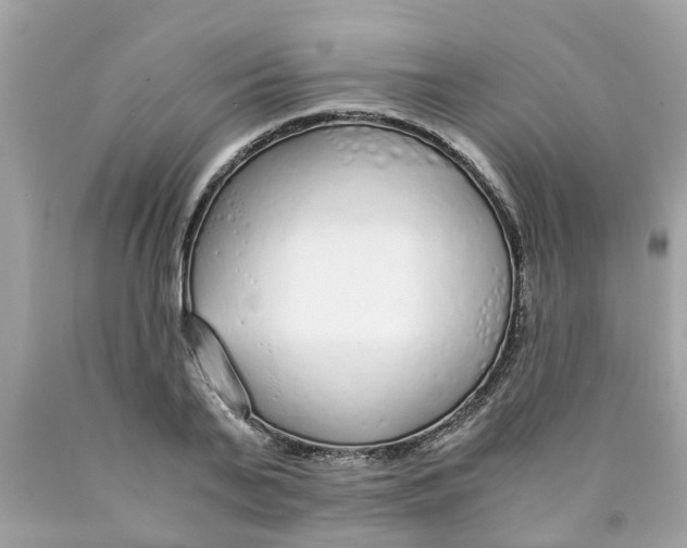 X0000089890791200707262229