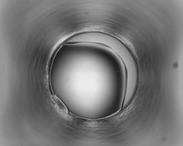 X0000089890792200707262229