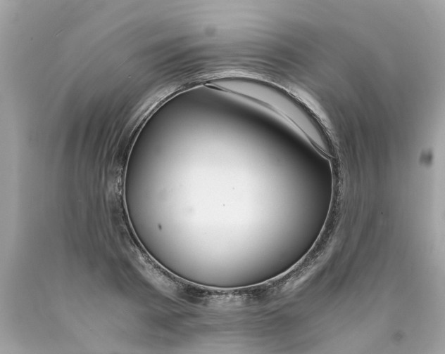 X0000089890793200707262229