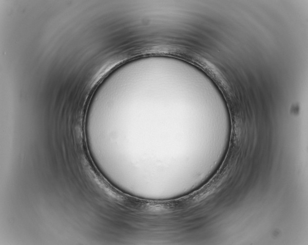 X0000089890794200707262229