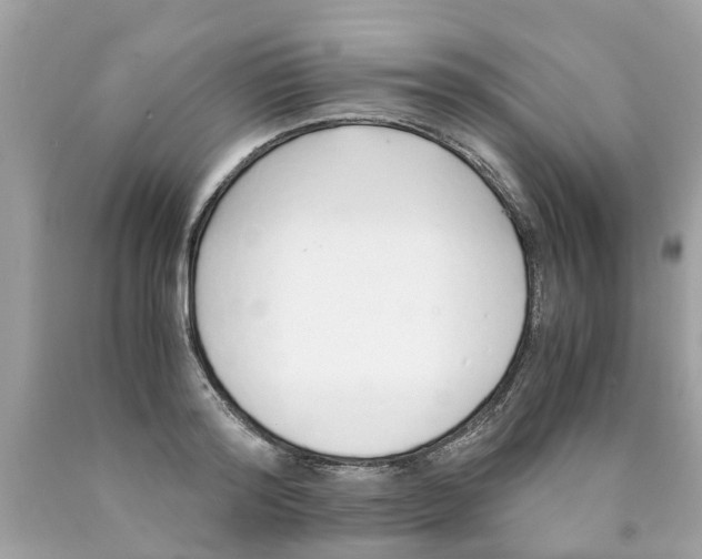 X0000089890796200707262229