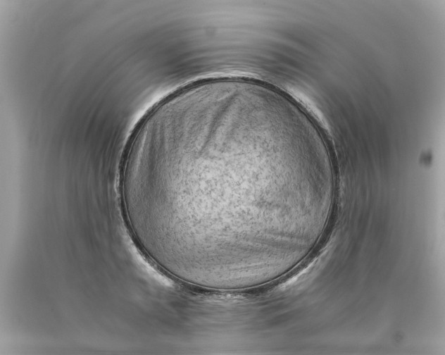 X0000089890797200707262229