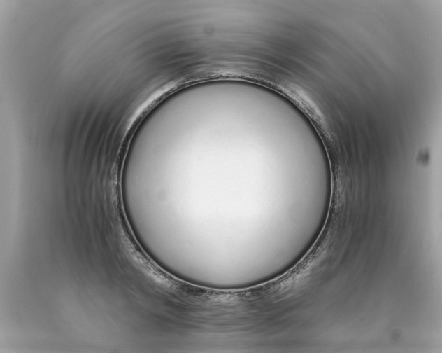 X0000089890798200707262229