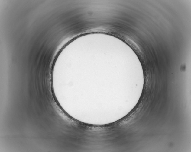 X0000089890800200707262229