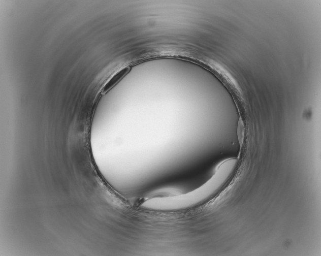 X0000089890801200707262229