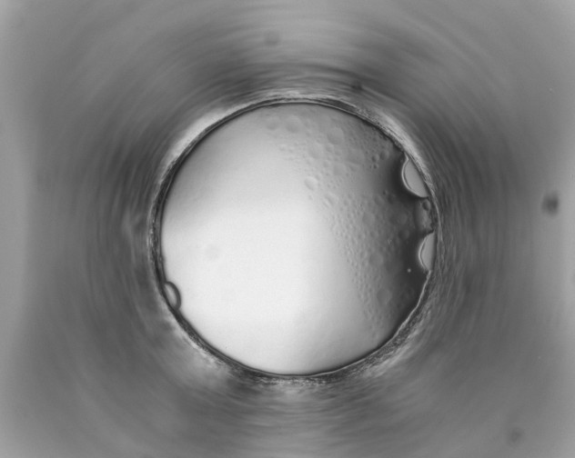 X0000089890803200707262229