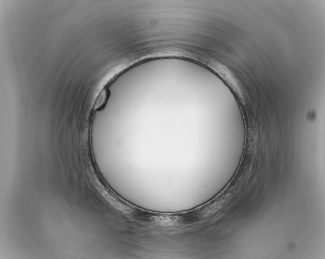X0000089890805200707262229