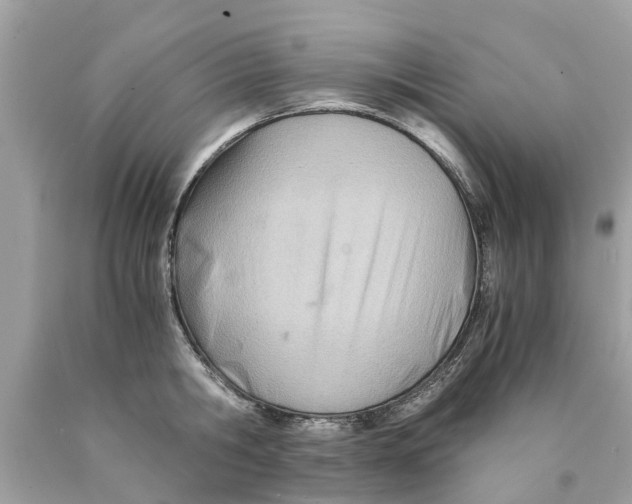 X0000089890806200707262229