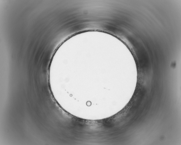X0000089890807200707262229