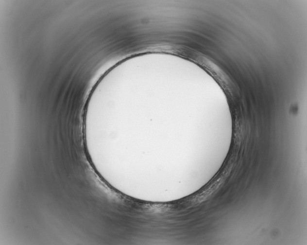 X0000089890808200707262229