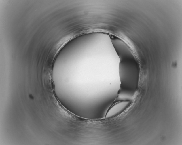 X0000089890809200707262229