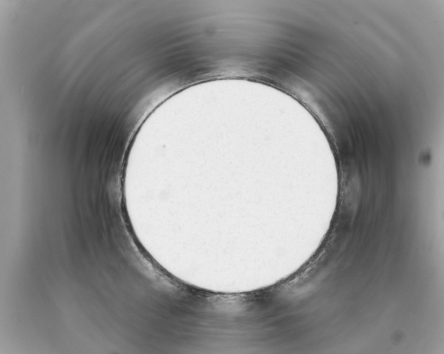 X0000089890810200707262229