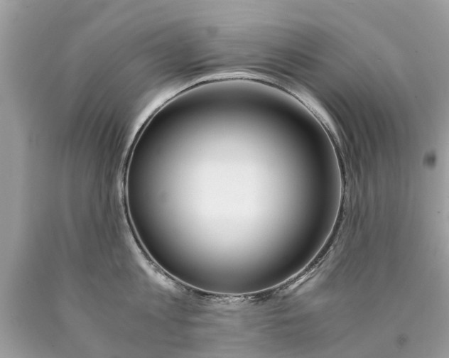 X0000089890813200707262229