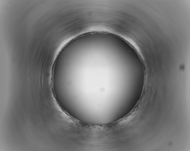 X0000089890815200707262229
