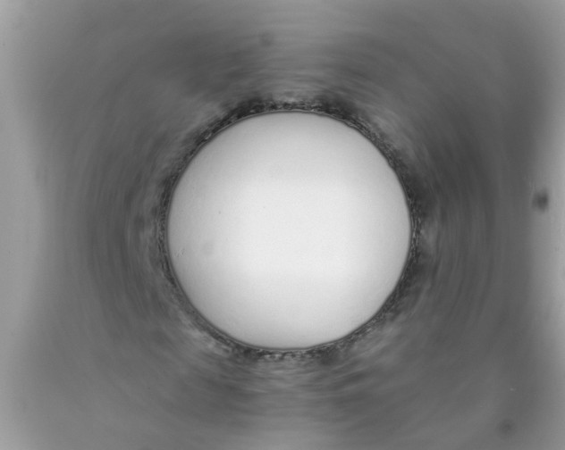 X0000089890817200707262228