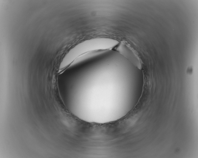 X0000089890818200707262228