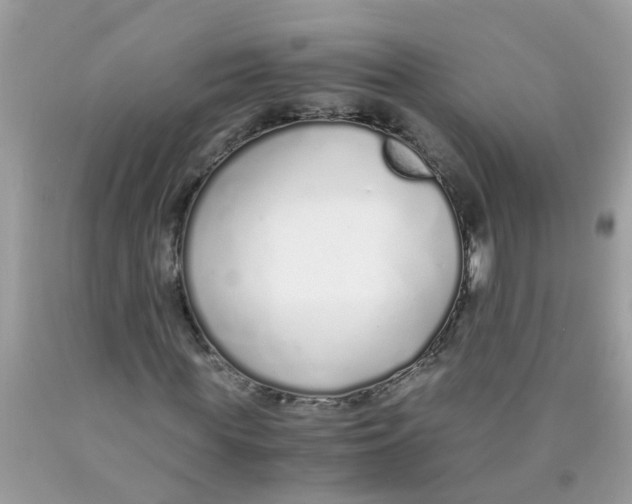 X0000089890819200707262228