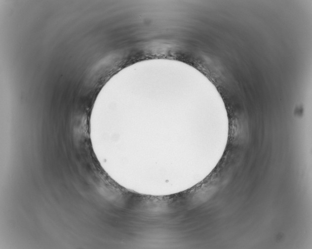 X0000089890820200707262228