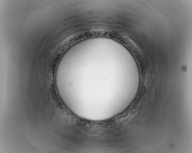 X0000089890821200707262228