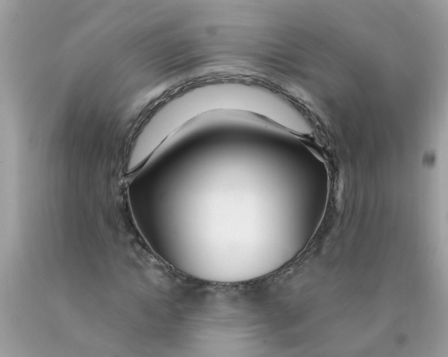 X0000089890822200707262228