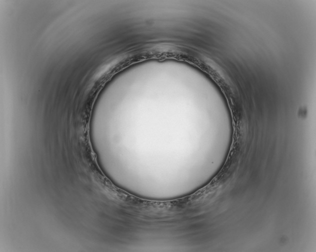 X0000089890823200707262228