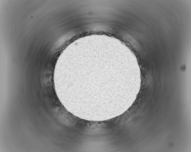 X0000089890824200707262228