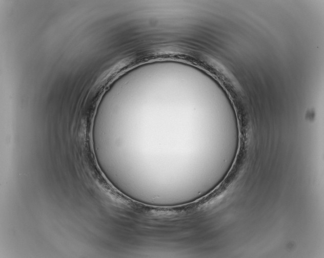 X0000089890825200707262228