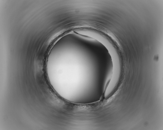 X0000089890826200707262228