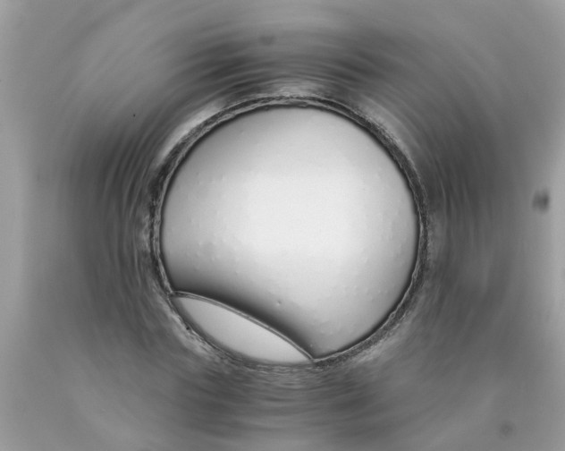 X0000089890827200707262228