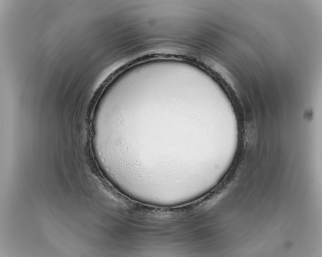 X0000089890829200707262228