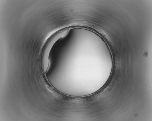 X0000089890830200707262228