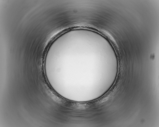 X0000089890831200707262228