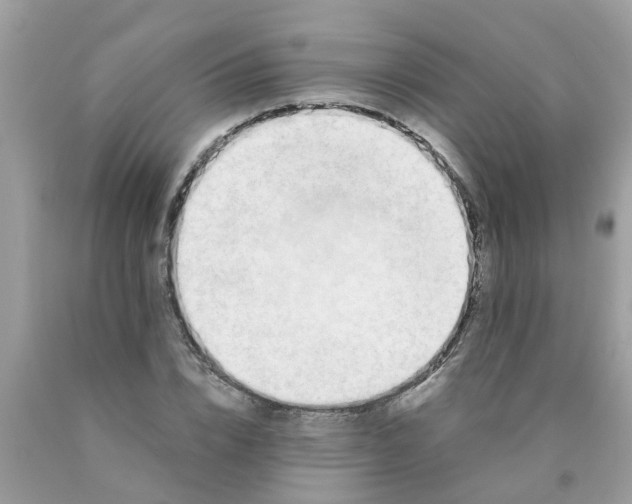 X0000089890832200707262228