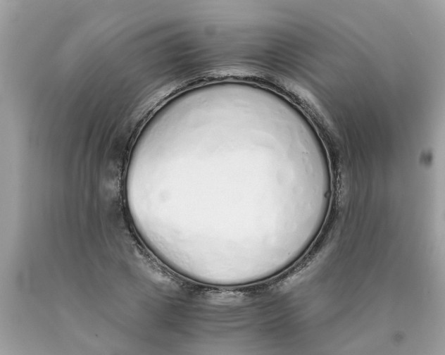 X0000089890833200707262228