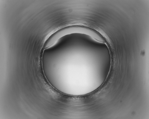 X0000089890834200707262228