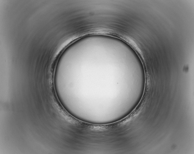 X0000089890835200707262228