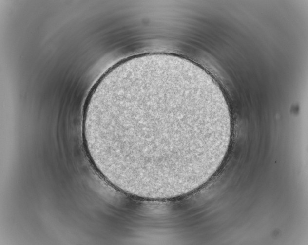 X0000089890836200707262228