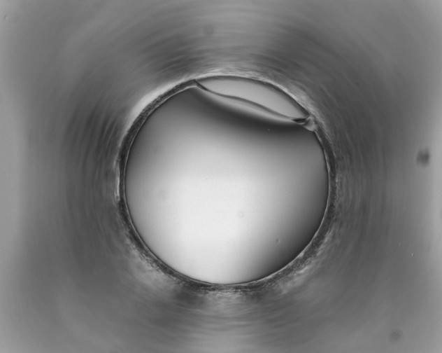 X0000089890838200707262228