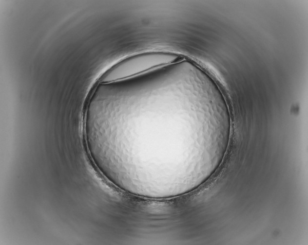 X0000089890839200707262228