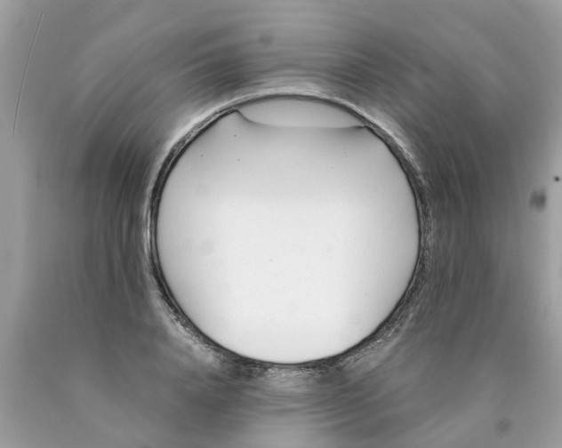 X0000089890840200707262228