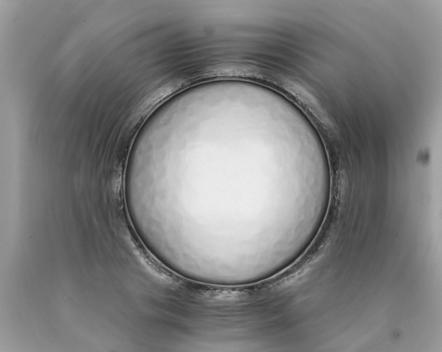 X0000089890841200707262228