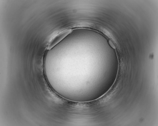X0000089890842200707262228