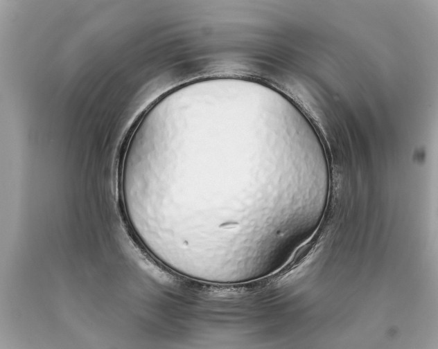 X0000089890843200707262228