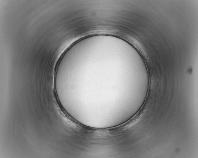 X0000089890844200707262228