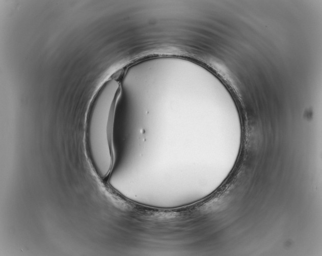 X0000089890845200707262228