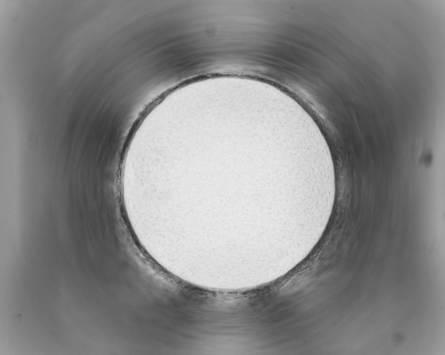X0000089890848200707262228