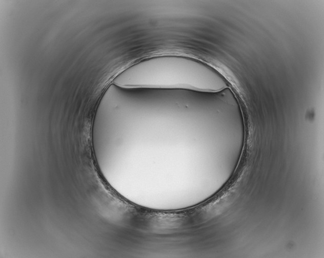 X0000089890849200707262228