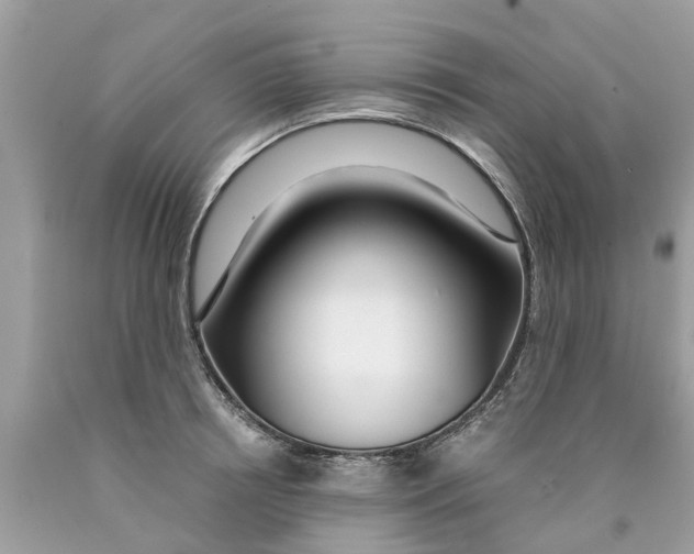 X0000089890850200707262228