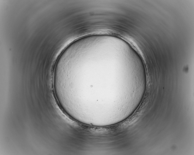 X0000089890851200707262228