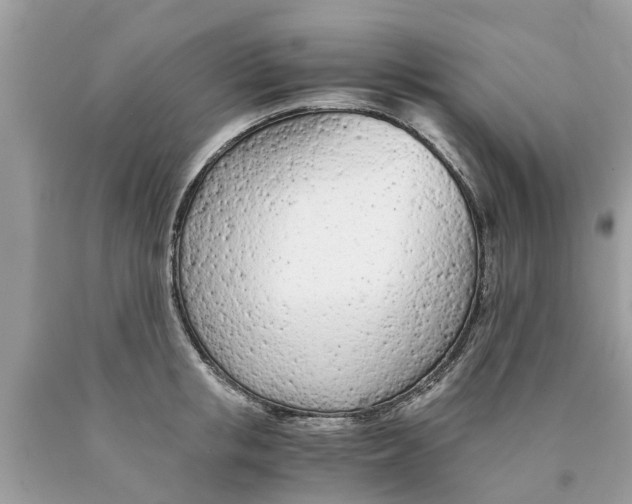 X0000089890853200707262228